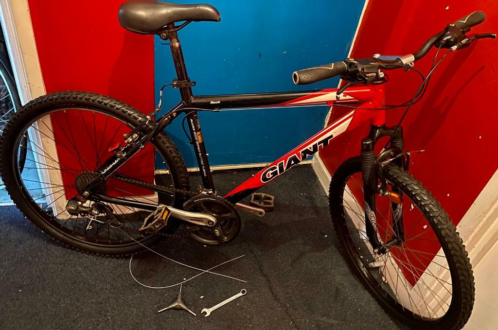 giant quick e for sale